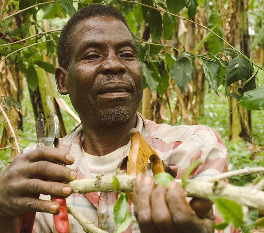 Kagera Cooperative Union Ltd. - KCU