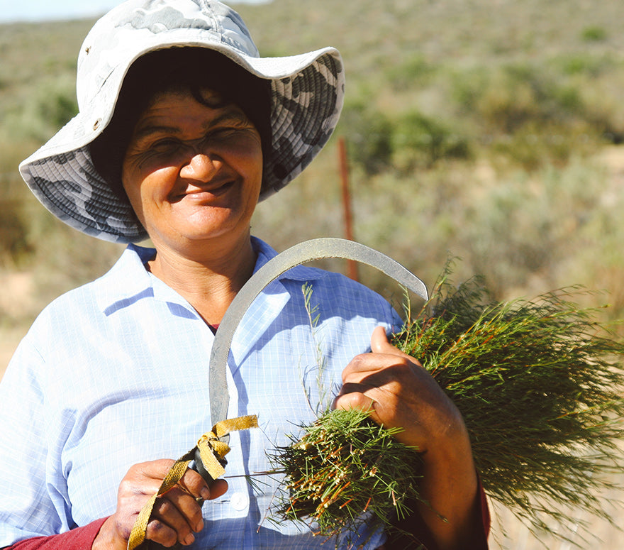 Heiveld Co-operative Ltd.