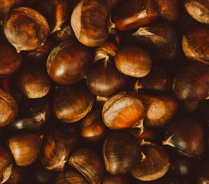 Lendi Erboristi S.A.