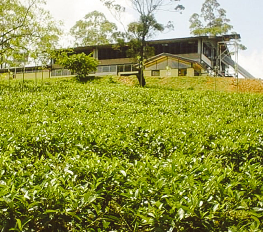 Bio Foods (PVT) Ltd.