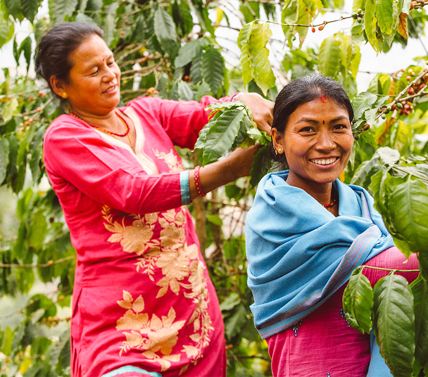 Coffee Cooperative Union Ltd. Lalitpur - (CCUL)