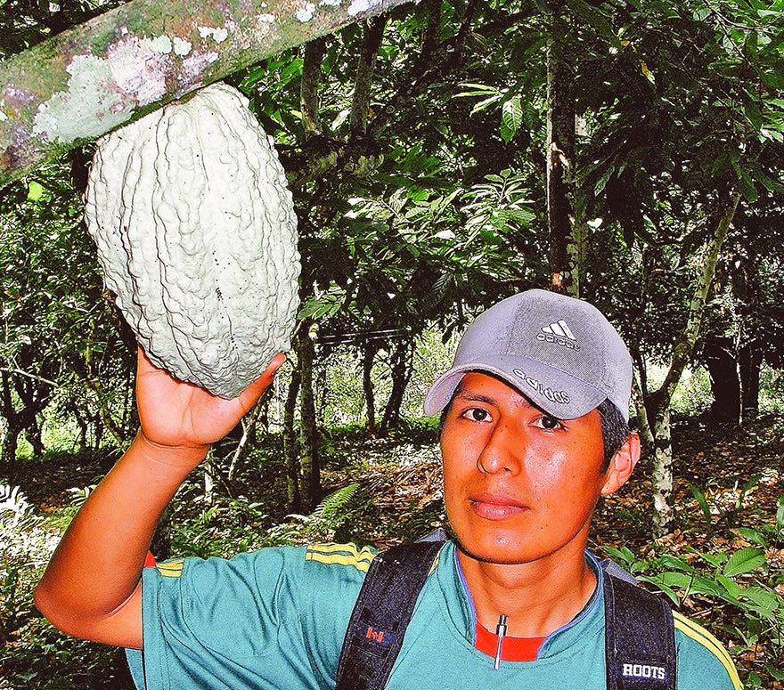 Central de Cooperativas El Ceibo Ltda