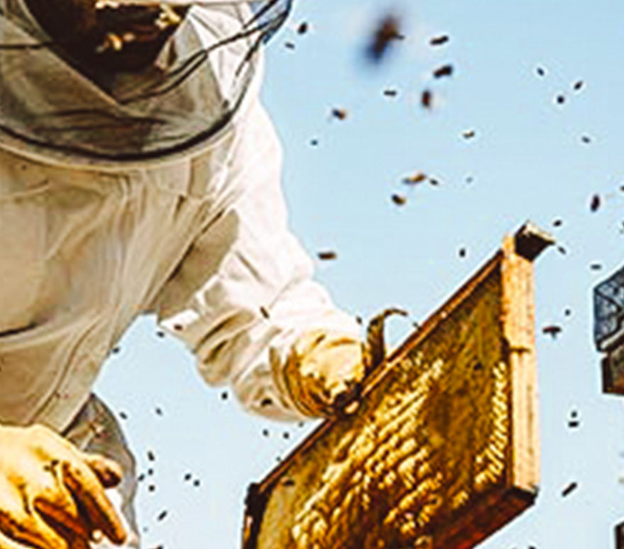 Educe Sociedad Cooperativa de R.L. - EDUCE