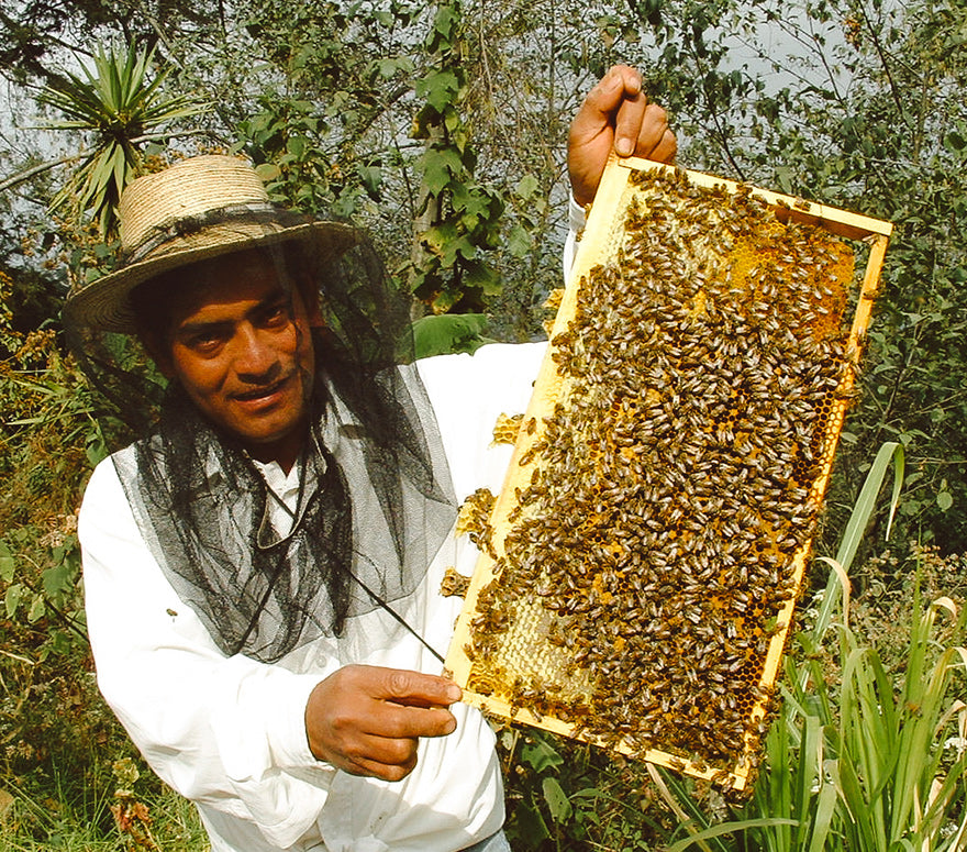 Mieles del Sur, S.C.