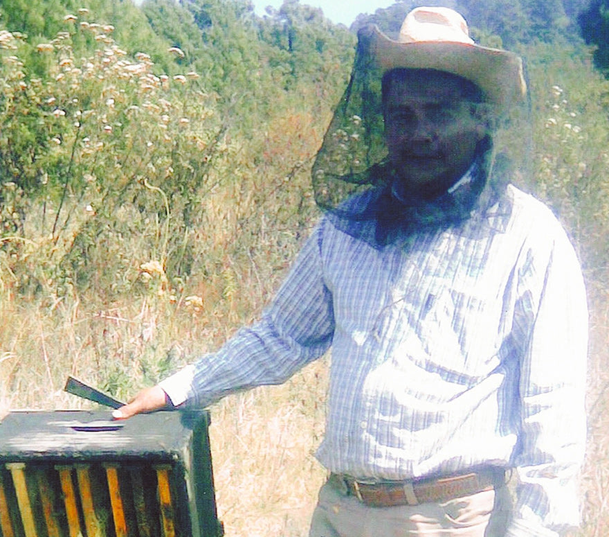 Miel bajo el volcán Jumiltepec Morelos de R.L.