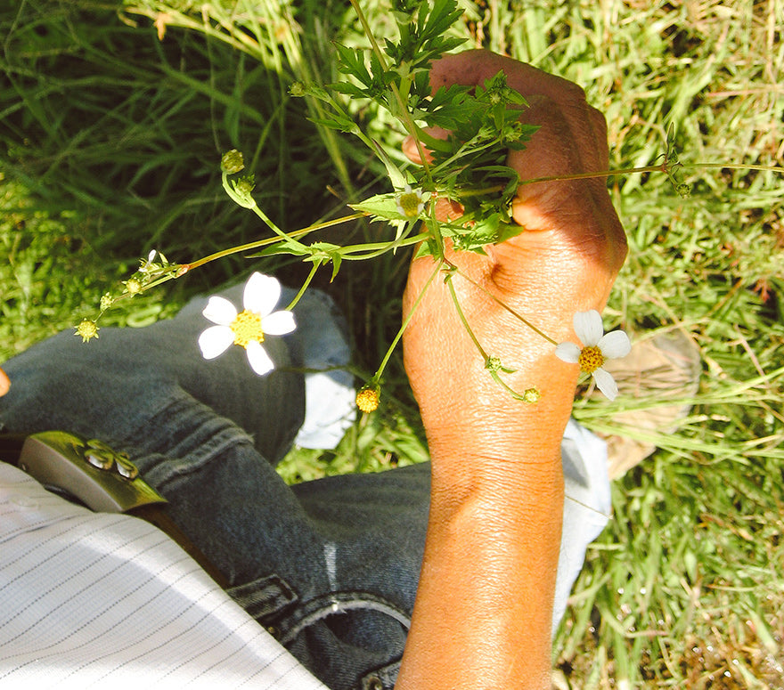 Miel Mexicana Volcán Popocatépetl S.C. de R.L.