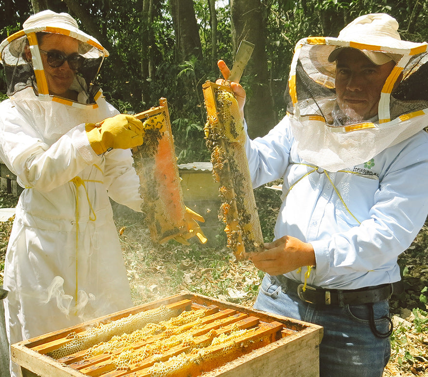 COPIASURO R.L. Cooperative de producción integral
