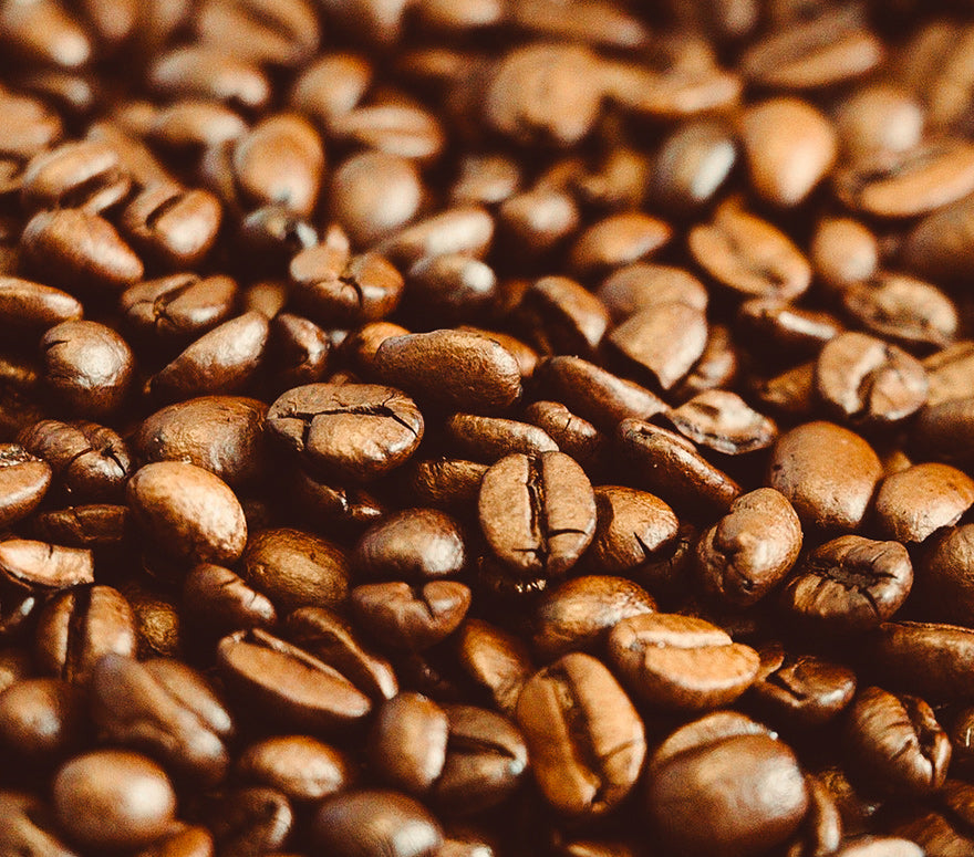 Promoteur de Développement Coopératif des Ségovie - PRODEC