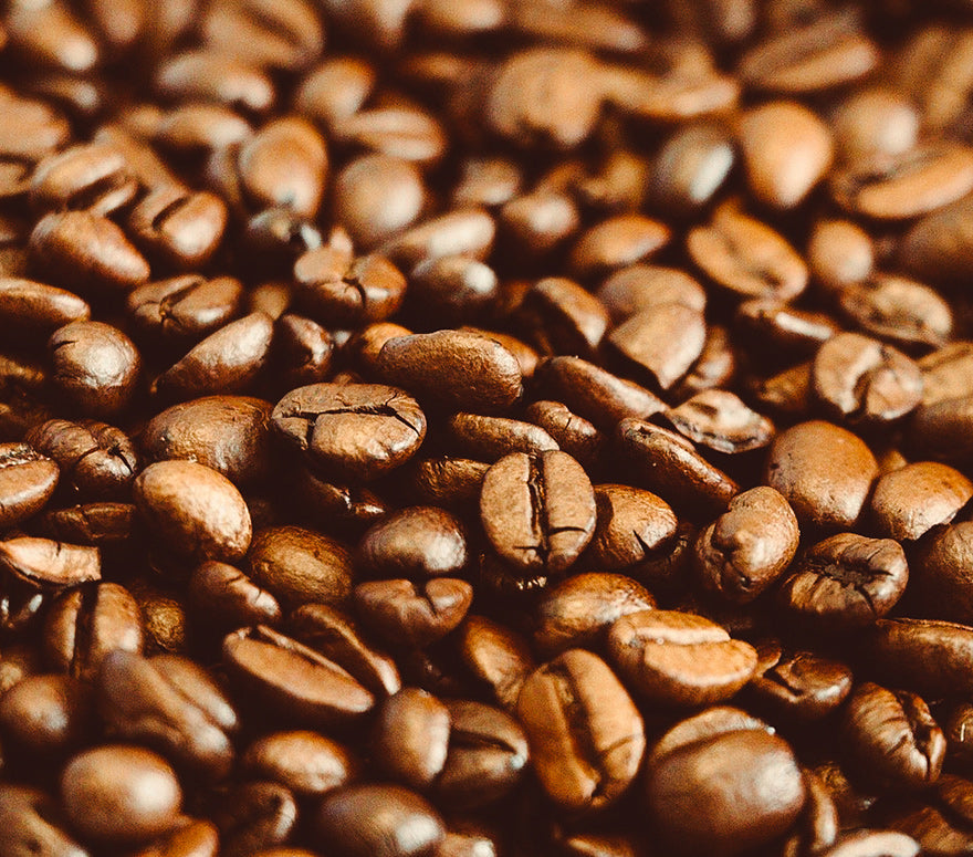 Cooperativa de Productores de Café La Encarnación Limitada -