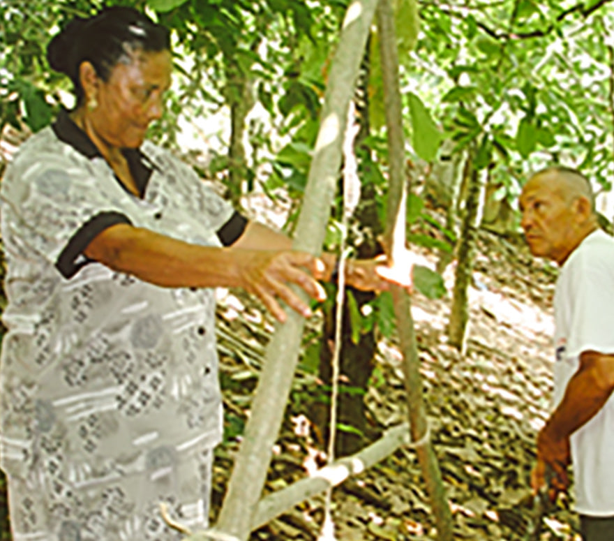 Central de Productores Agropecuarios para la Industria Andin