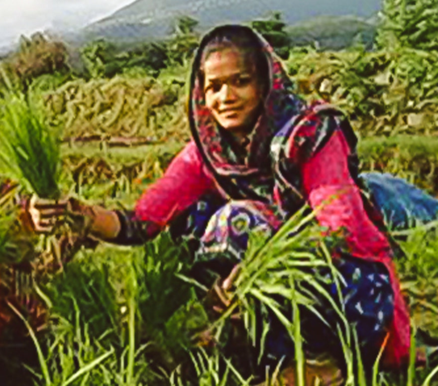 Fair Farming Foundation Ramnagar (Nature Bio- Foods Ltd.)