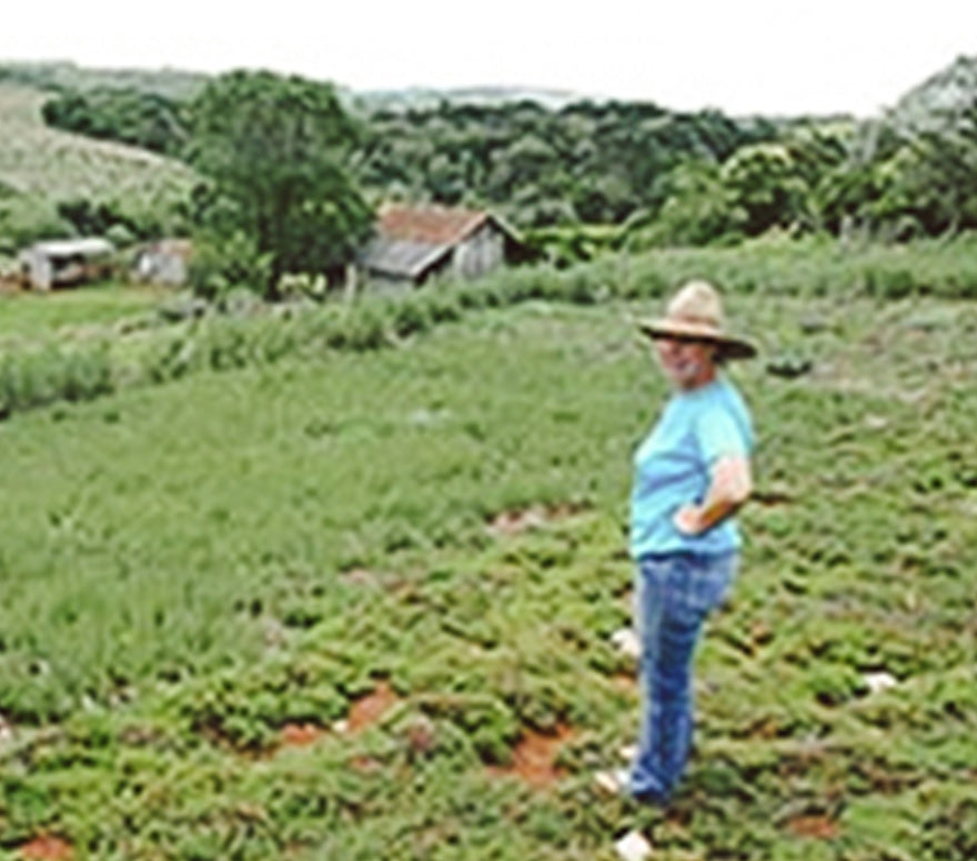 Coopérative de produits agroécologiques Artesanais e Florest