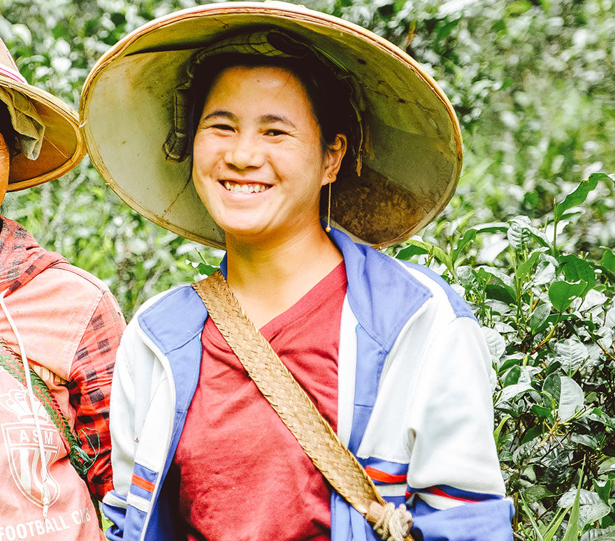 Palaung Tea Growers & Sellers Association (PTA), Myanmar