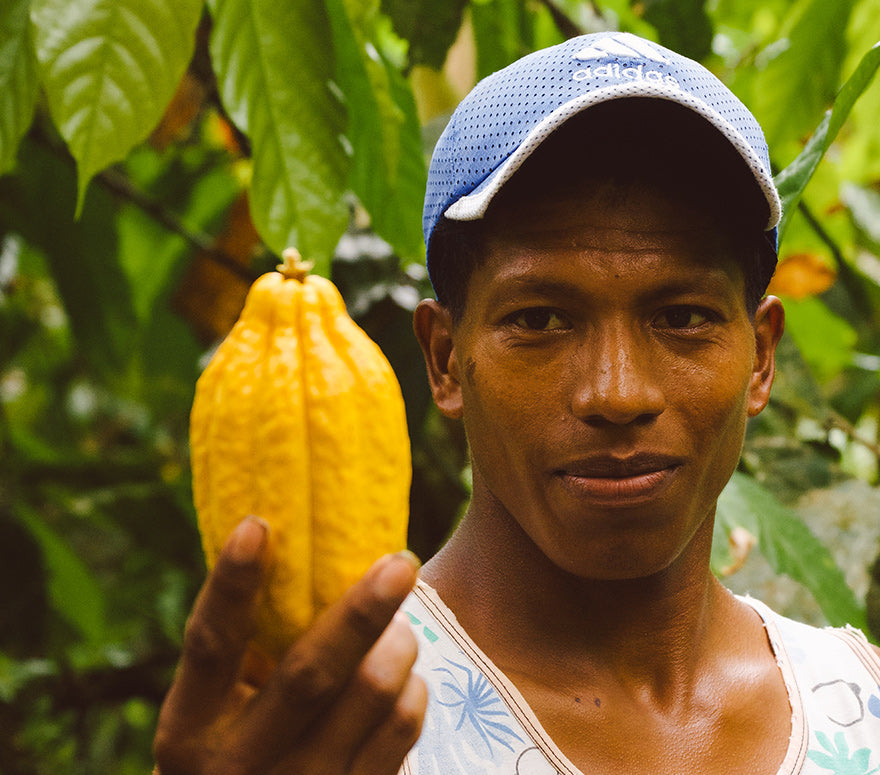 Original Beans Équateur