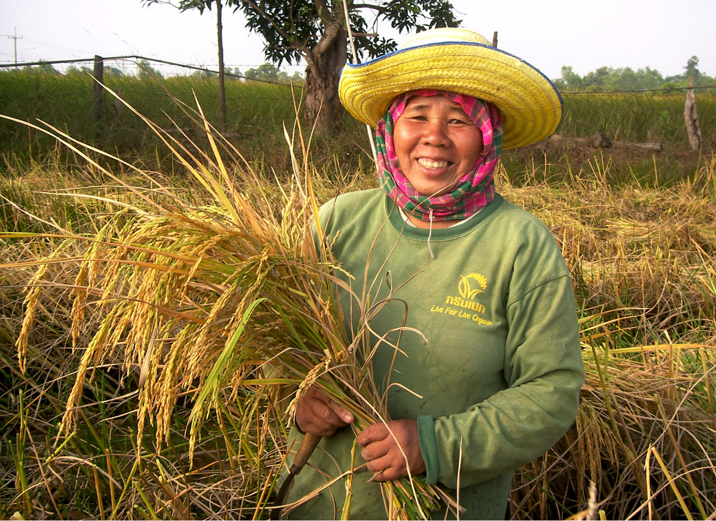 Green Net Cooperative - GNC