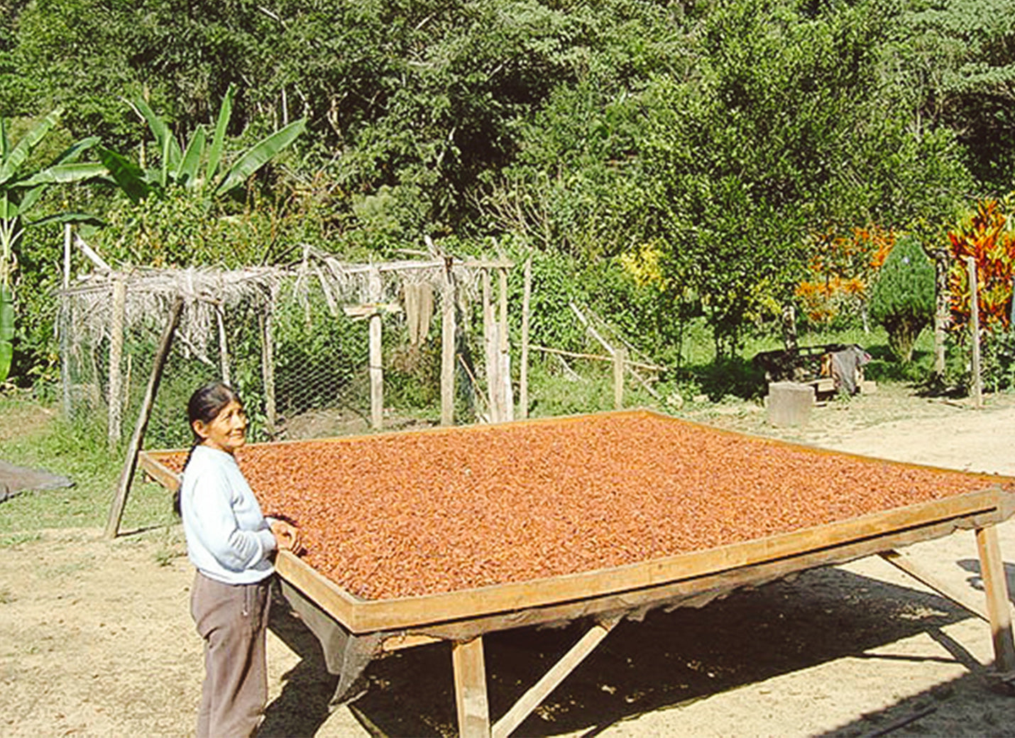 Produzent 720