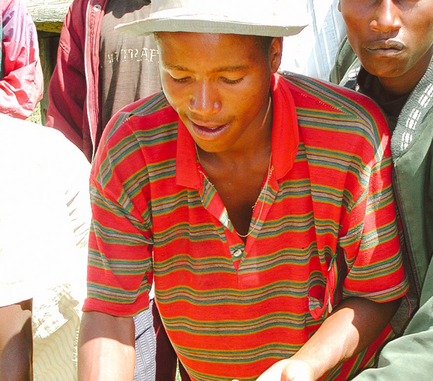 Oromia Coffee Farmers Cooperative Union Limited Liability - (Union coopérative des producteurs de café d'Oromia)