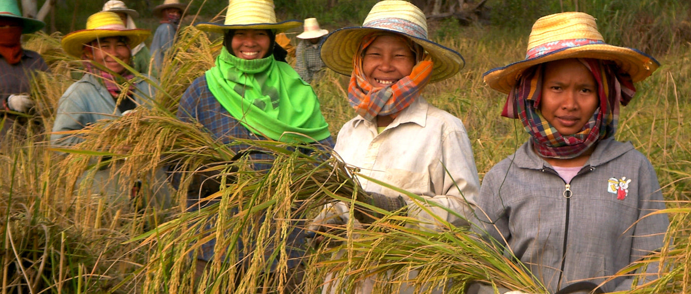 Green Net Cooperative - GNC