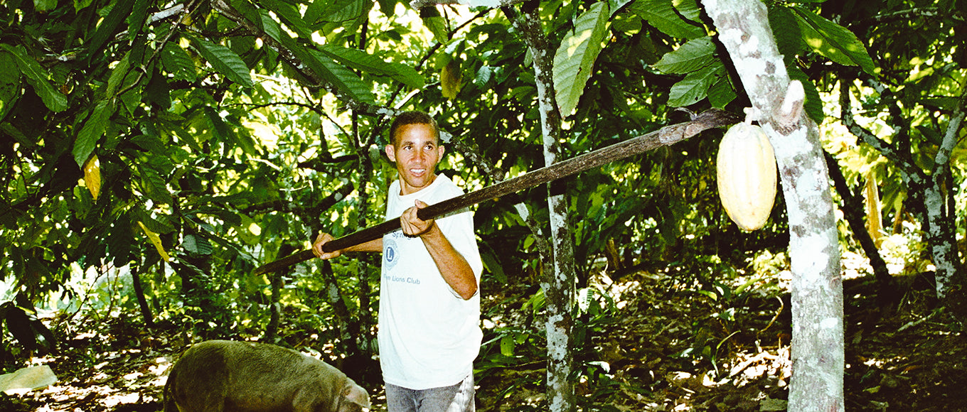 Produzent 622