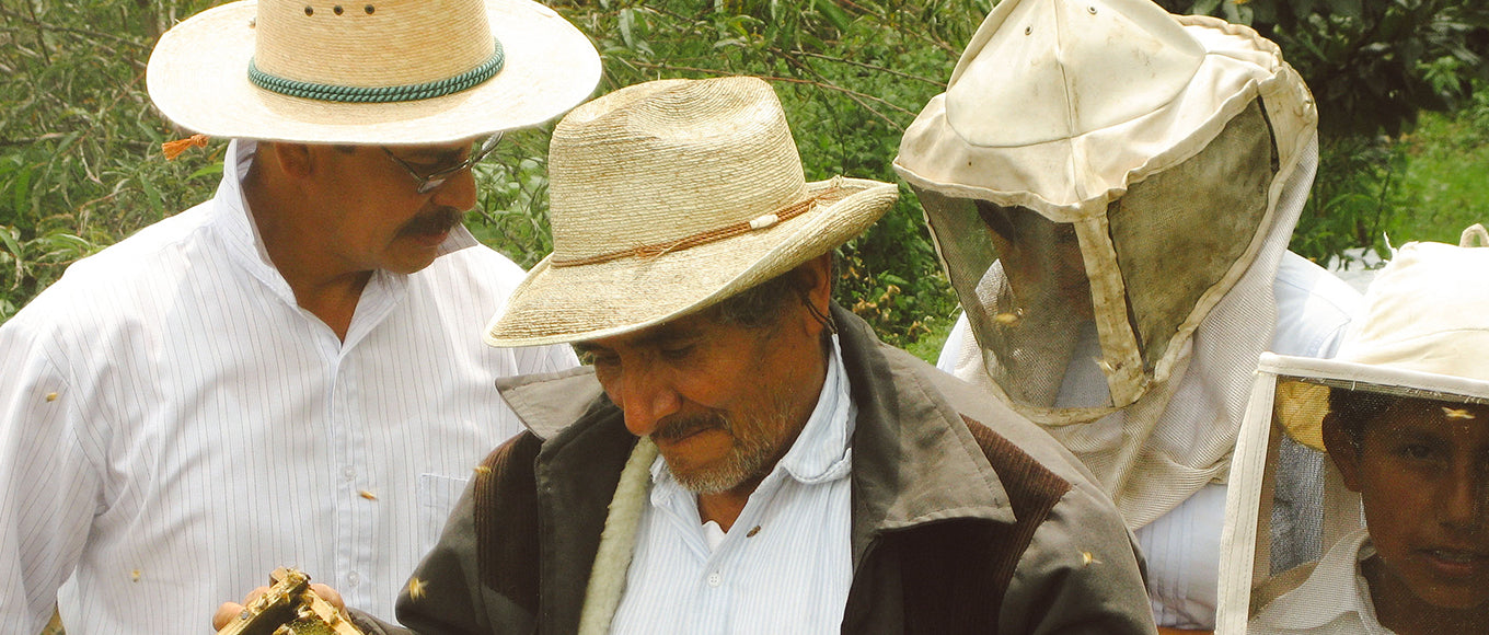 Produzent 698