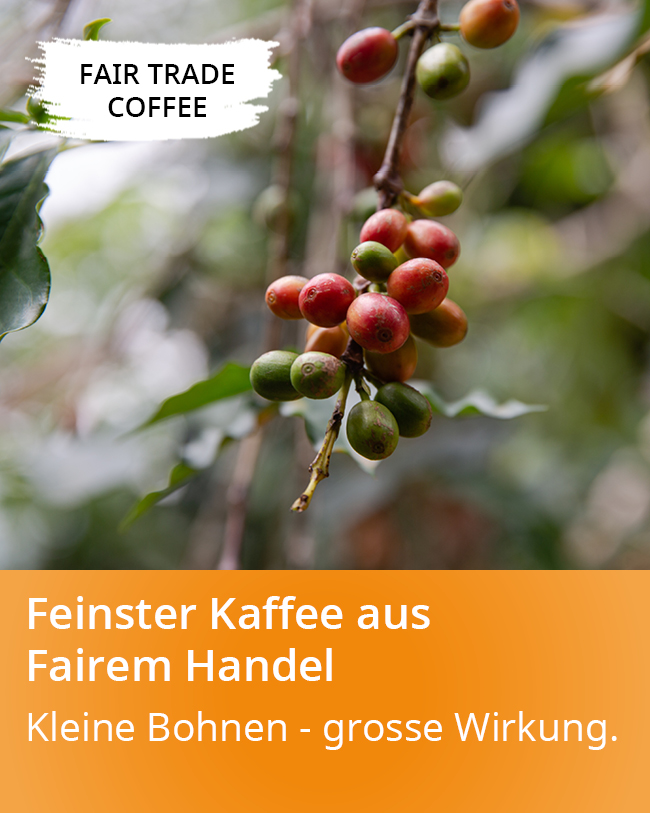 Bio-Kaffee_nachhaltig und aus fairem Handel online kaufen_mobile.jpg