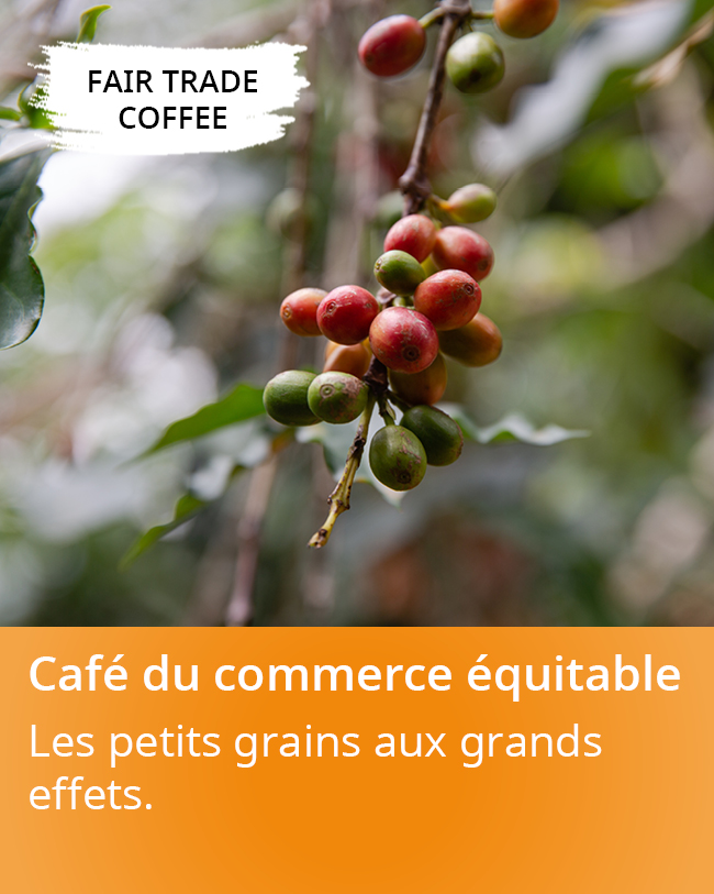 Bio-Kaffee_nachhaltig und aus fairem Handel online kaufen_mobile2.jpg